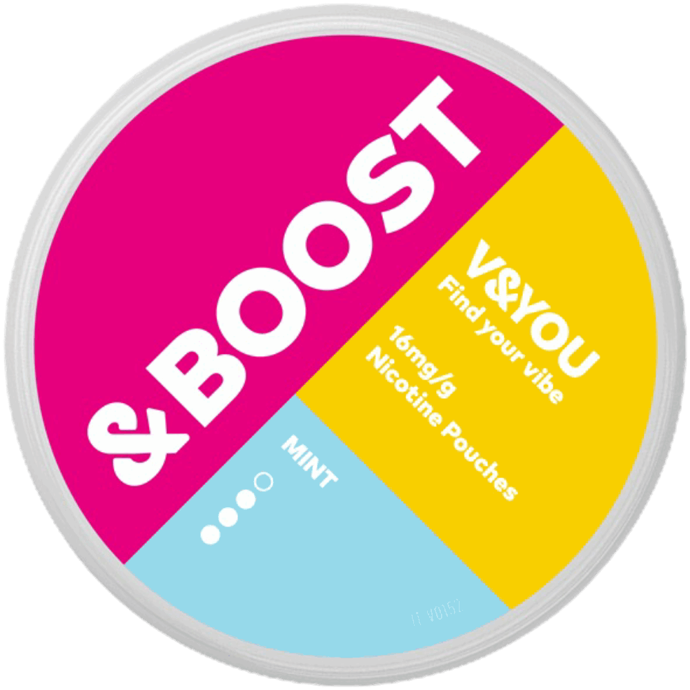 V&YOU &Boost Mint